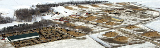 Arial view of Schaff Angus Valley