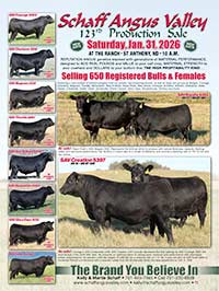 Sale Flyer thumbnail