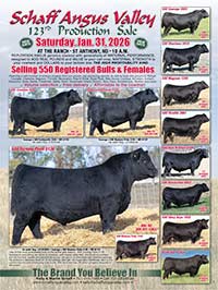 Sale Flyer thumbnail