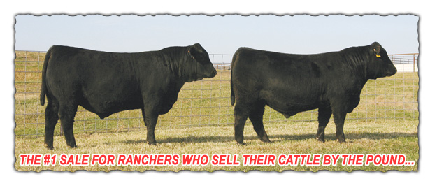 The No. 1 Sale for Ranchers Who Sell Their Cattle by the Pound.